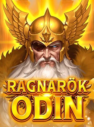 Live bingo show game cover